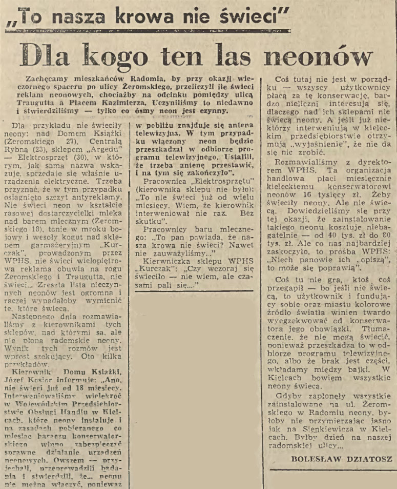 Dla kogo ten las neonów?