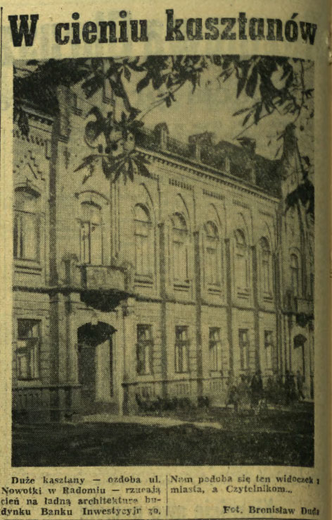 W cieniu kasztanów
