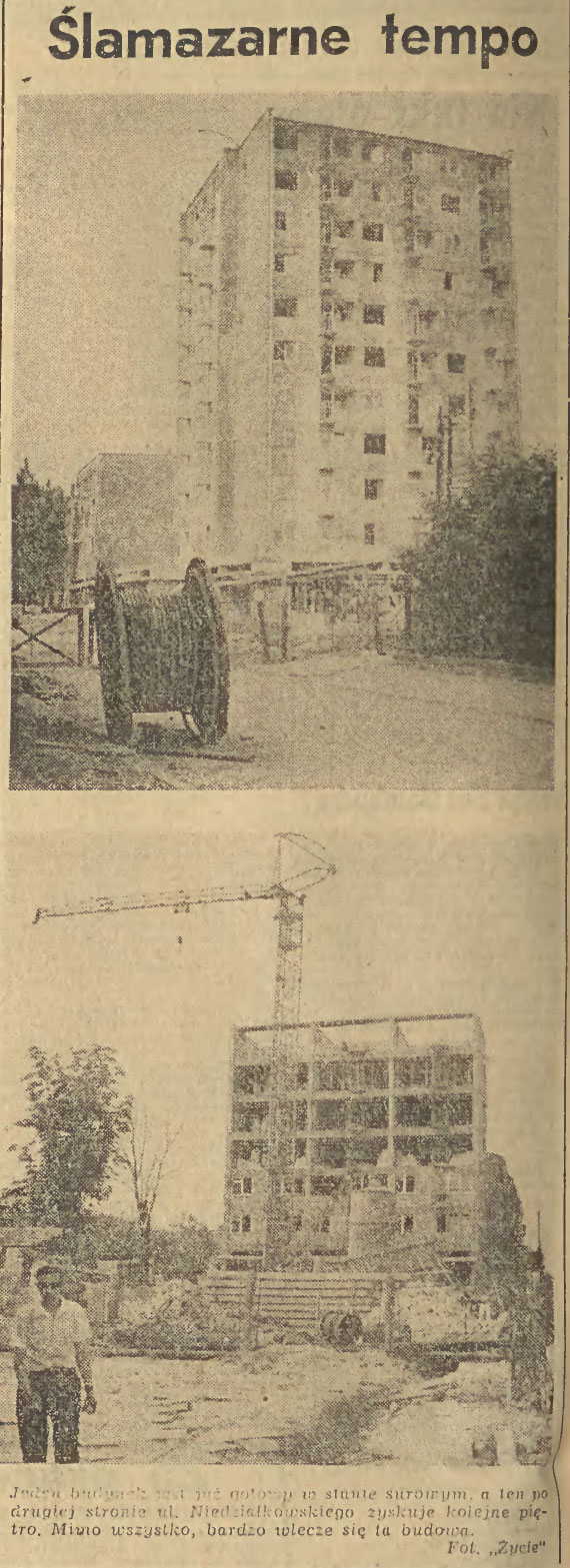 Ślamazarne tempo