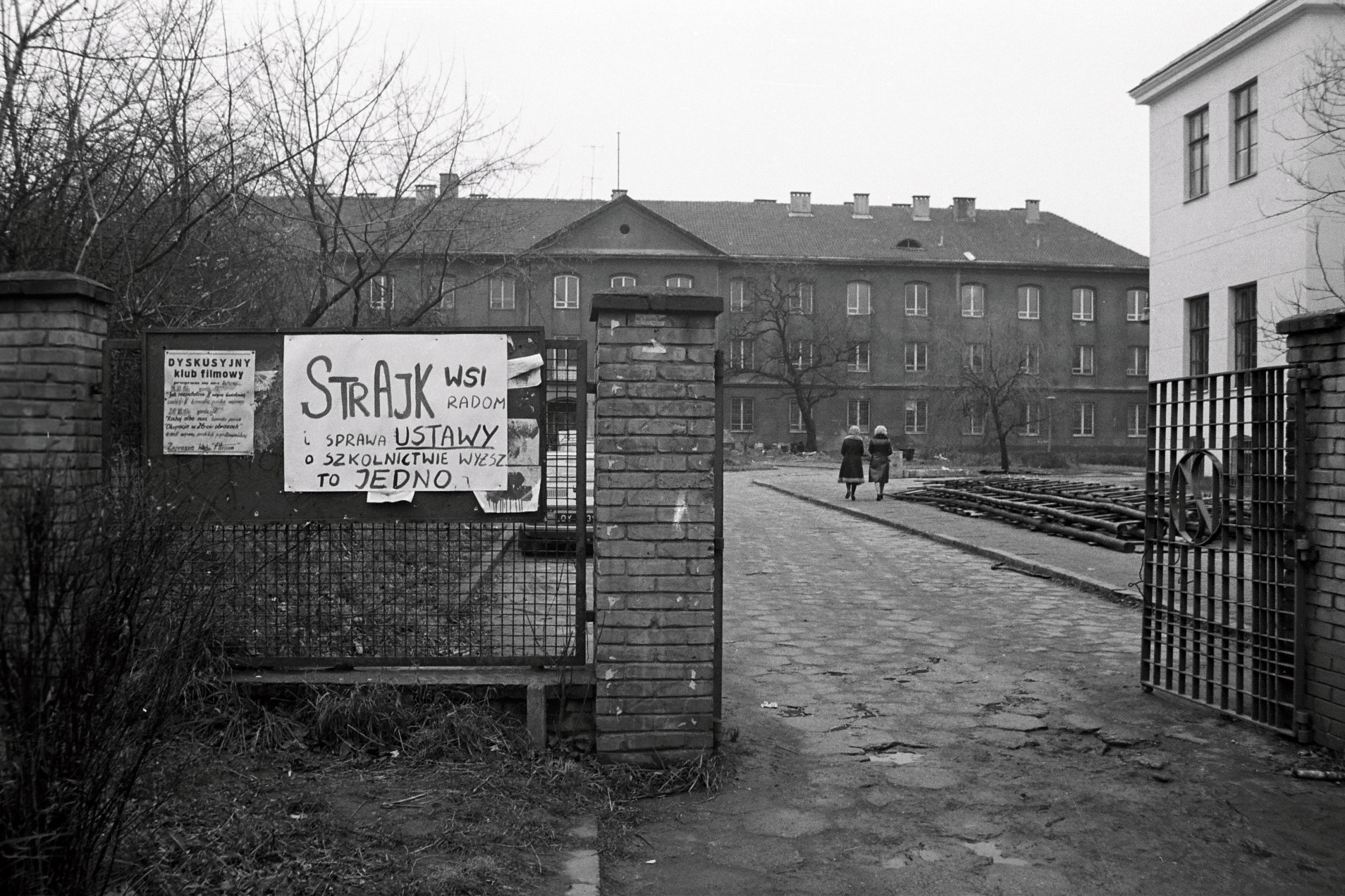1981