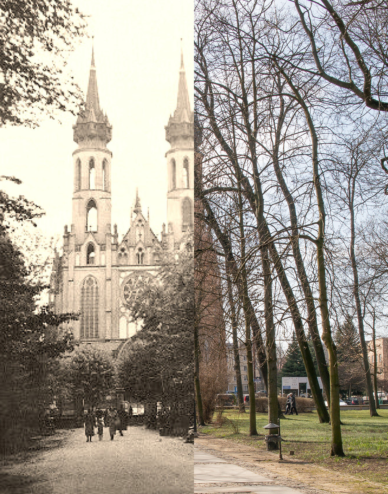 Widok na Katedrę z Parku Kościuszki